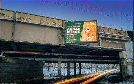 Vom Rookie zum relevanten Player