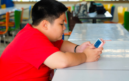 Die beliebtesten Sozialen Netzwerke der Jugend