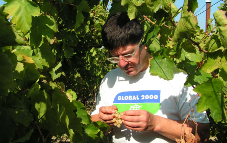 Rewe und Global2000 gemeinsam für Reduktion von Pestiziden