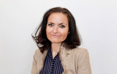 Organisationsentwicklung: Kein Business ohne Digitalisierung