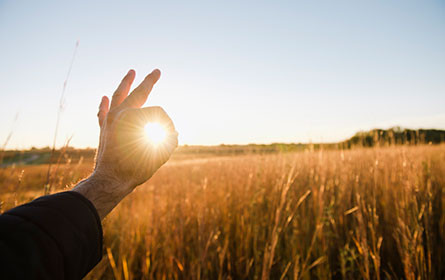 Harmony Ambition 2030