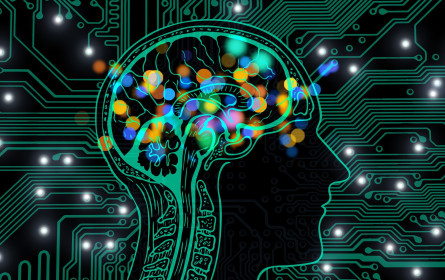 Informatikprofessor rät zur Vorsicht beim Testen von ChatGPT & Co.