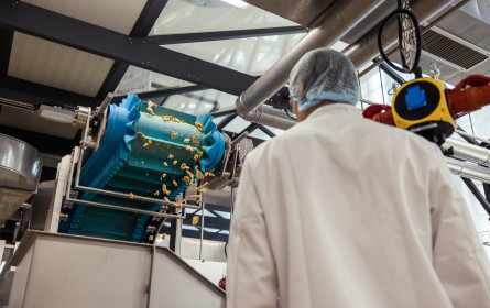 Planted: Besser als Fleisch von Tieren