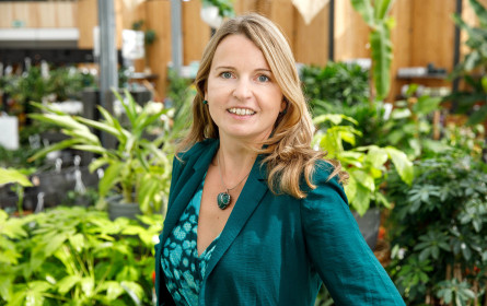 bellaflora-Gartentrendstudie 2023