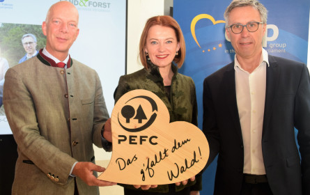 Aktiv bewirtschafteter Wald ist zukunftsfit!