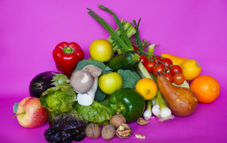 WWF präsentiert „Öko-Ernährungspyramide“