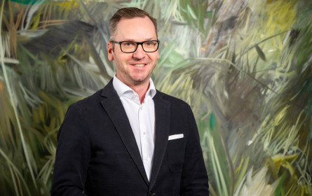 Immounited Marktbarometer: Die Stimmung ist gedrückt, die Branche trotzdem krisenfest