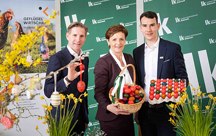 Nicht nur zu Ostern: Eier bleiben bis Jahresende knapp