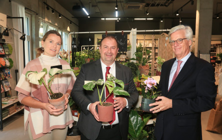 Urban Gardening – wo Zeitgeist auf Tradition trifft