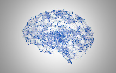 KI im Fokus: APA-Taskforce AI