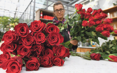 Österreicher geben rund 240 Millionen Euro für Geschenke aus