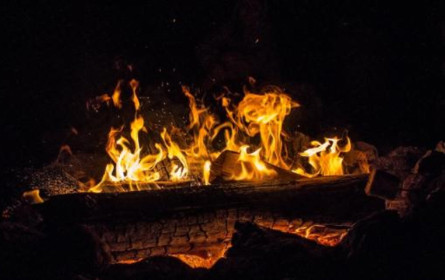 iab austria bringt das Kamingespräch auf LinkedIn