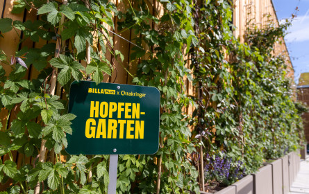 Ottakringer & Billa mit grünem Pilotprojekt