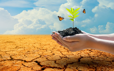 Netzwerk Klimajournalismus stellte Klima-Kodex vor