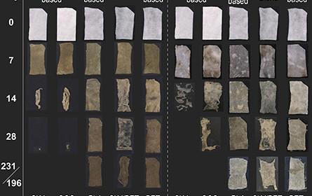 Alternative zu Plastik