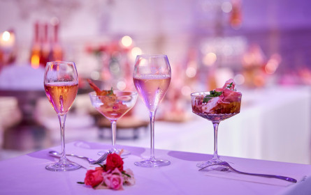 Let’s Rosé im Wiener Ballhaus