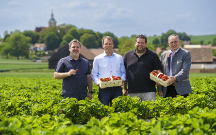 Billa setzt auf „Regionalitätsoffensive“