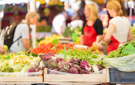 Aktionen gefragt, Bio hält sich gut
