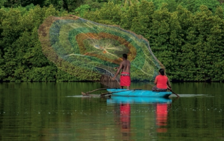 Sri Lanka Lebensfeeling in der Wiener Spiegelgasse ab 27. Juni 2023