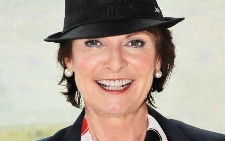 Wie man „heilige Kühe“ mit dem „Elefanten im Raum“ vertreibt