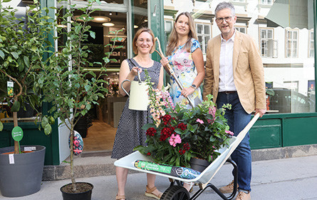 Es verde grün: Salon Verde öffnet seine Türen in der Kettenbrückengasse