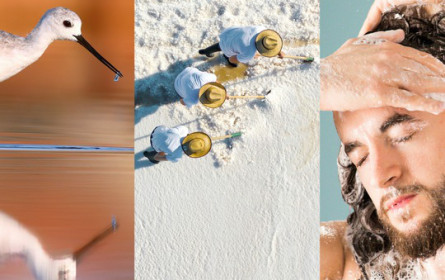 Lush: Rewild your routine