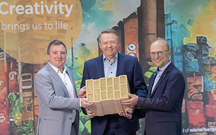 Rote Ziegel werden grün