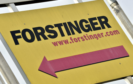 Forstinger: Sanierungsverfahren auf Schiene