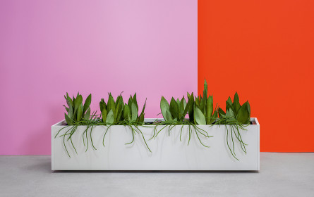 Grüne Wohlfühloase Arbeitsraum