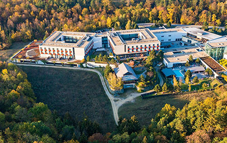 Linsberg Asia – Geschäftsführer beendet Tätigkeit