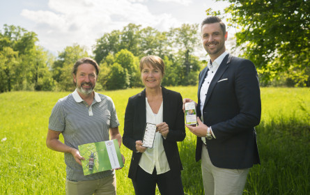 5.835 Schmetterlinge meldeten Citizen Scientists im Juni