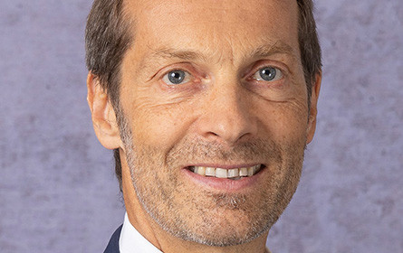 Delta Gruppe wird Alleineigentümer der Ingob ZT GmbH