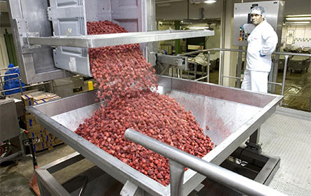 IFT FIRST Expo 2023 in Chicgo: Agrana präsentiert neue Speiseeis-Kreationen und setzt Bio-Schwerpunkt