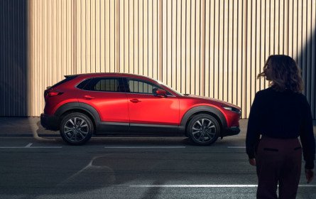 Crafted in Japan - Made in Vienna