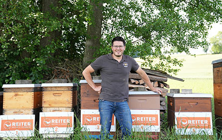 Wie Betten Reiter und Joka mit Bienen den Schlaf verbessern