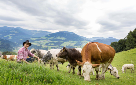 MPreis setzt verstärkt auf Regionalität