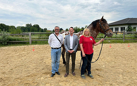 Mehr „Pferdestärken“ für kranke Kinder: Billa finanziert Therapiepferd für Verein in Gramatneusiedl