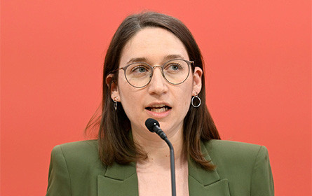 Kika/Leiner - SPÖ pocht weiterhin auf Änderung des Insolvenzrechts