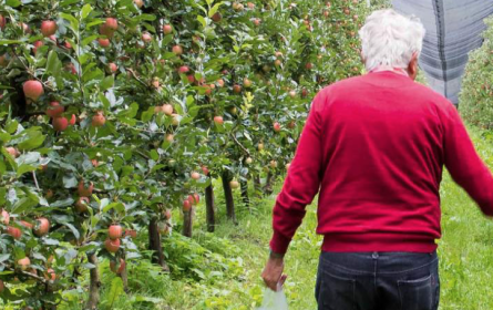 Global 2000 & Rewe: Pestizidreduktion in ständiger Bewegung