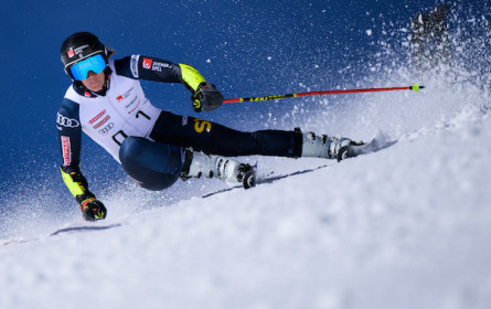 Born in Sweden, raised in Austria