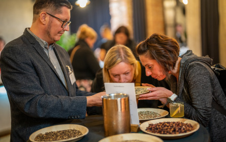 Tee als Begleiter für Haubengerichte