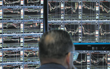 Zinsbremse hat Wirkung noch nicht entfaltet