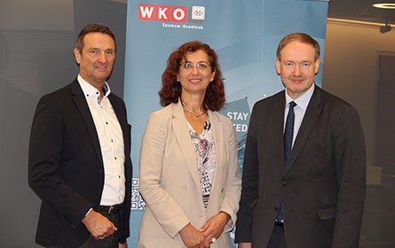 Volkswirtschaftliche Effekte