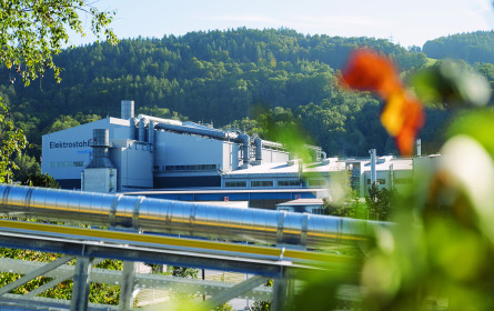 Spezielles Gustostück