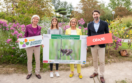 „Schmetterlinge – bunte Schönheiten im Fokus“