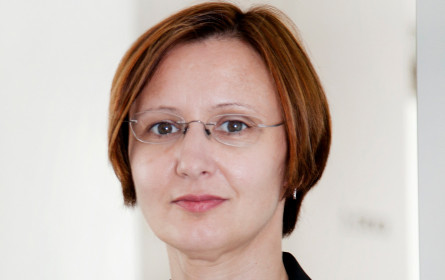 AK-Preismonitor: Preise für Wocheneinkauf bleiben hoch!