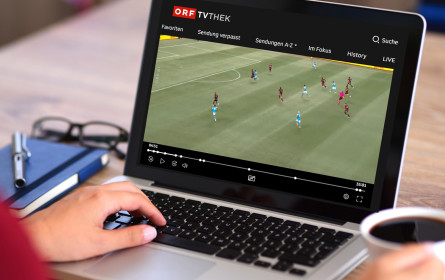 Wie man Content vor illegaler Nutzung schützt