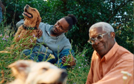 Boehringer Ingelheim präsentiert neues Corporate Branding: "Life Forward"