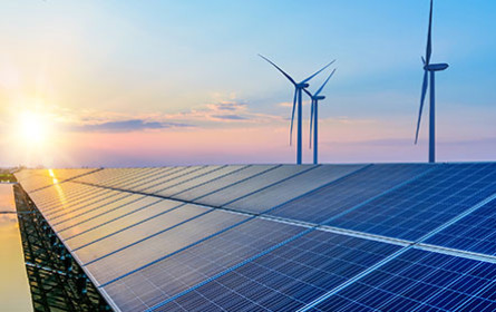 Mars stellt detaillierten Netto-Null-Aktionsplan vor und beschleunigt Unternehmensaktivitäten für den Klimaschutz