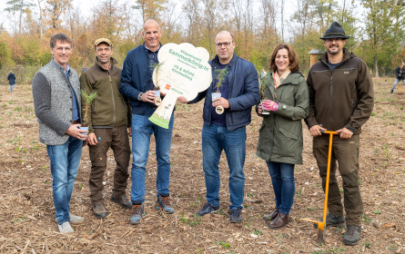 Waldquelle und Penny pflanzen 300 neue Bäume in Wiener Neustadt